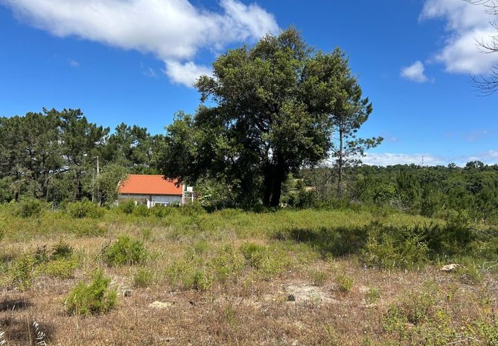 Terra a Palhais, Setubal, Palhais - € 70.000 | Ref: TER_20 - foto 1
