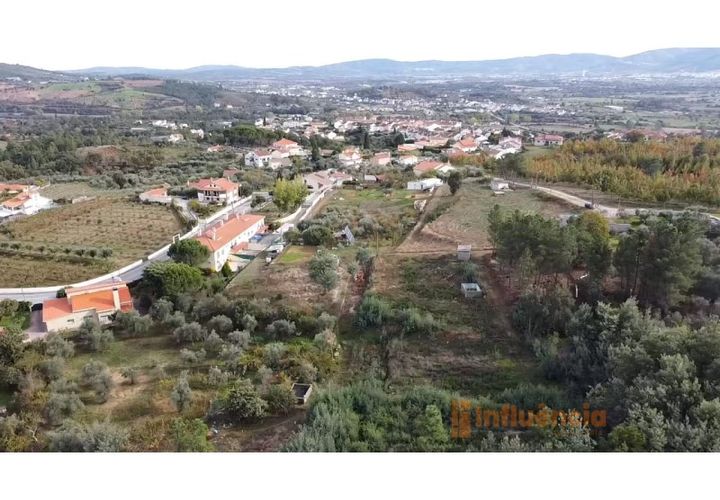 Terra a Dominguizo, Castelo Branco, Dominguizo - € 25.000 | Ref: SÒL_109 - foto 1