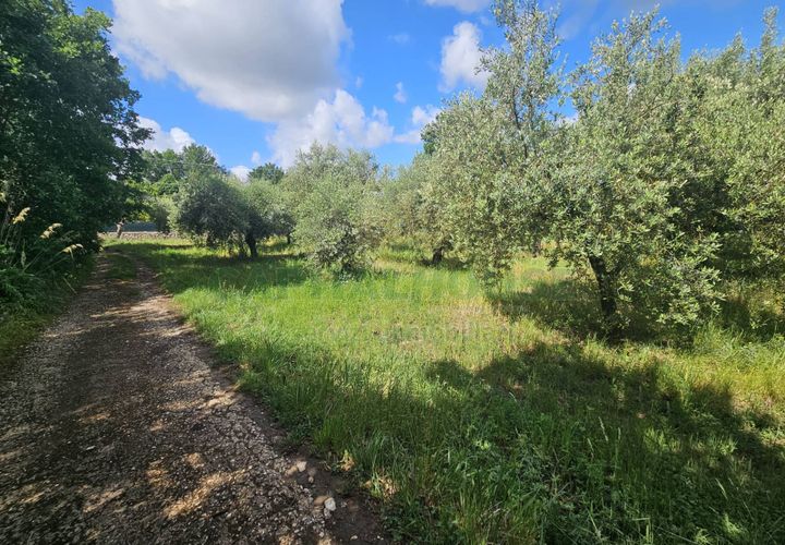 Tomt i Calvi Risorta, Caserta, Calvi Risorta - € 12 900 | Ref: 12900terreno - foto 1