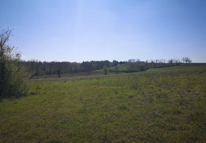 Terra a Marciac, Gers, Marciac - € 18.000 | Ref: CT2779 - foto 1