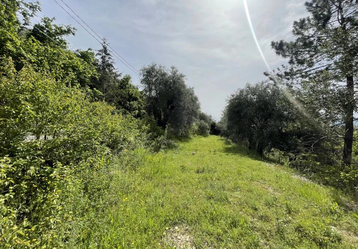 Terra a Colomars, Alpes-Maritimes, Colomars - € 240.000 | Ref: 83633695 - foto 1