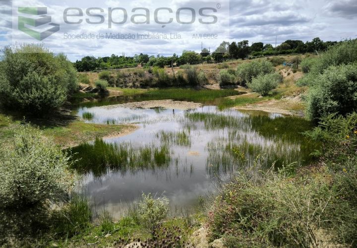 Helårsgrund i Castelo Branco, Castelo Branco, Castelo Branco - € 150.000 | Ref: 5556/EG - foto 1