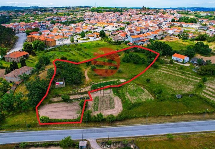 Terra a Meda, Guarda, Meda - € 120.000 | Ref: 540/MDA - foto 1