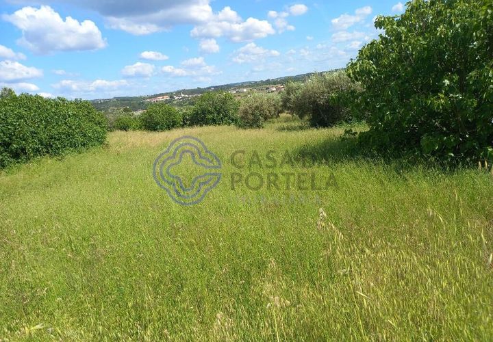 Helårsgrund i Tomar, Santarem, Tomar - € 60.000 | Ref: 1129611 - foto 1