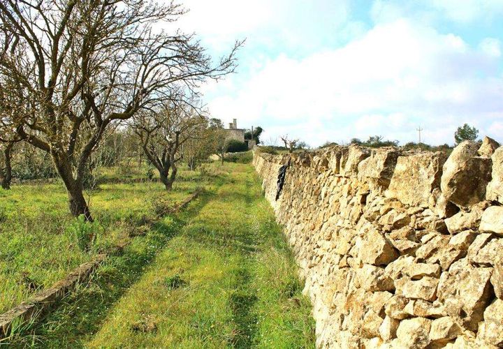 Farm hus i Ostuni, Brindisi, Ostuni - € 150.000 | Ref: RH-23041-property-1172289 - foto 1