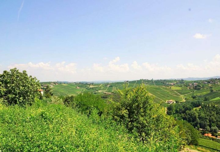 Farm hus i Calosso, Asti, Calosso - € 260.000 | Ref: CP-1293-1176460 - foto 1