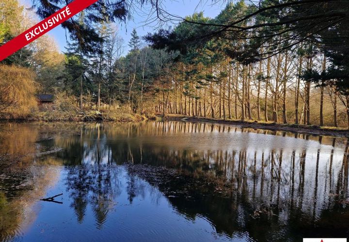 Grond in Pipriac, Ille-et-Vilaine, Pipriac - € 43.000 | Ref: 192482 - foto 1