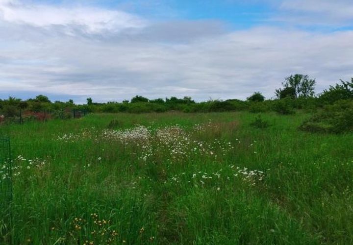 Helårsgrund i Niort, Deux-Sevres, Niort - € 668.500 | Ref: 200779 - foto 1