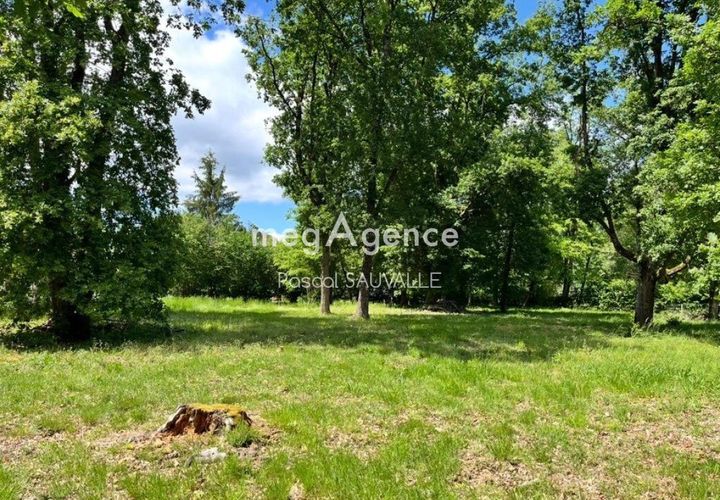 Terra a Sanilhac, Dordogne, Sanilhac - € 94.000 | Ref: 203781 - foto 1