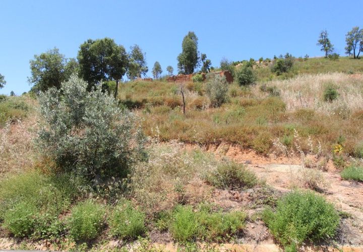 Helårsgrund i Monchique, Faro, Monchique - € 125.000 | Ref: T306 - foto 1