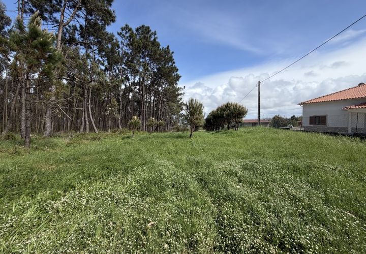 Helårsgrund i Santo Onofre e Serra do Bouro, Leiria, Santo Onofre e Serra do Bouro - € 90.000 | Ref: FL006-26 - foto 1