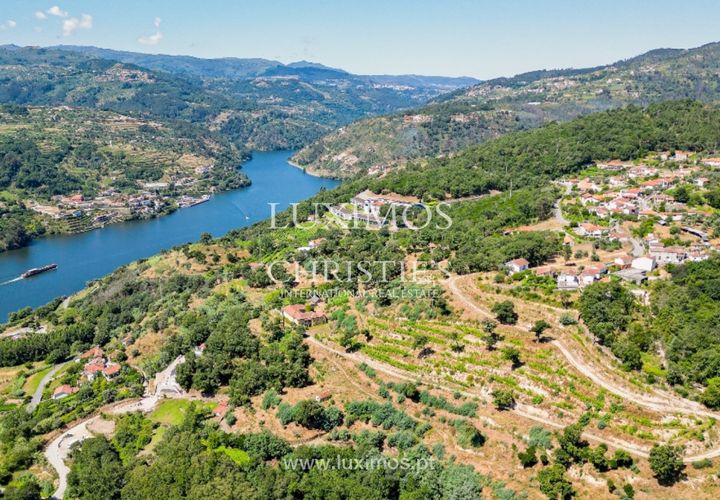 Farm i Baiao, Porto, Baiao - € 1.150.000 | Ref: LS04226 - foto 1