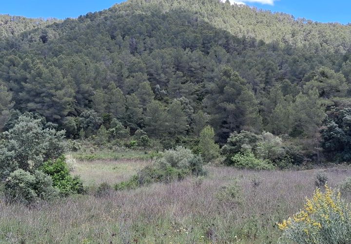 Helårsgrund i Rasquera, Tarragona, Rasquera - € 50.000 | Ref: EXP14478/8930 - foto 1