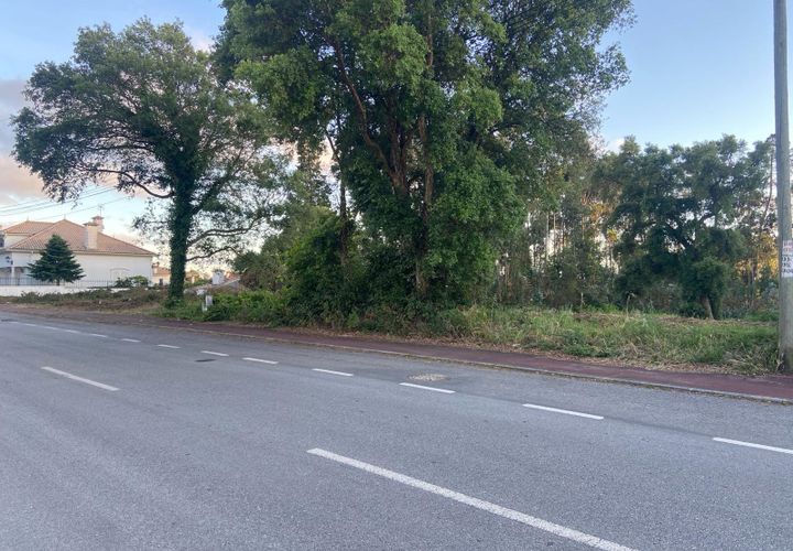 Helårsgrund i Anadia, Aveiro, Anadia - € 50.000 | Ref: 73/2026 ES - foto 1