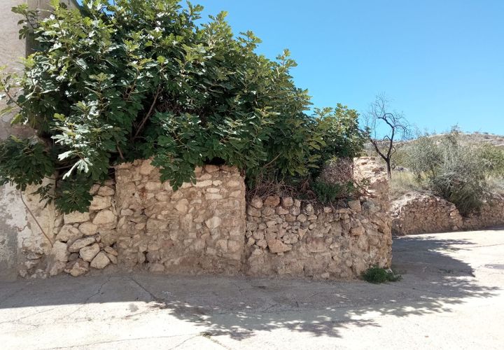 Terra a Turon, Granada, Turon - € 11.500 | Ref: Ramblilla Ánimas 6 - foto 1