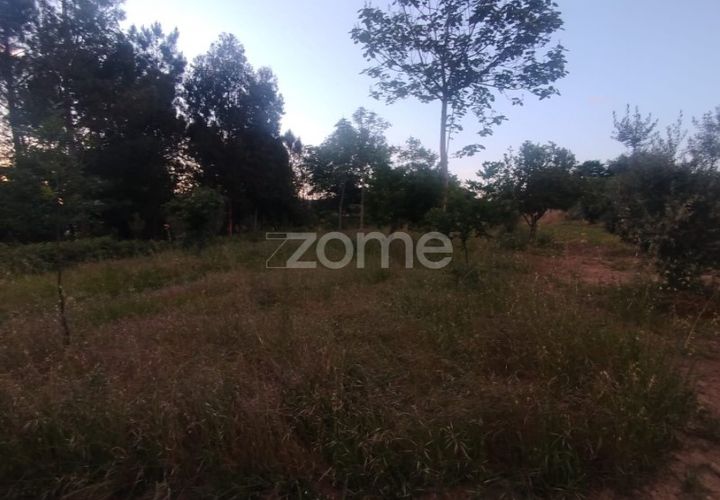 Helårsgrund i Mangualde, Viseu, Mangualde - € 35.000 | Ref: ZMPT589103 - foto 1