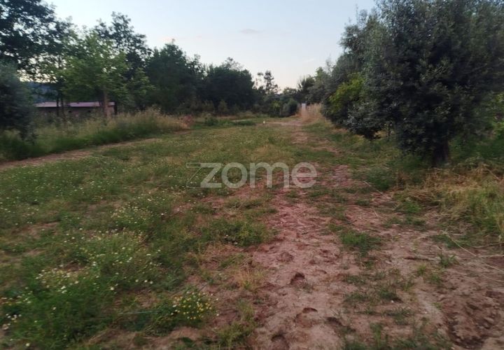 Helårsgrund i Mangualde, Viseu, Mangualde - € 29.500 | Ref: ZMPT589106 - foto 1
