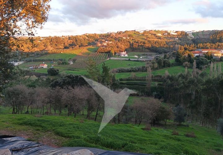 Helårsgrund i Alcobaca, Leiria, Alcobaca - € 95.000 | Ref: TER_159 - foto 1