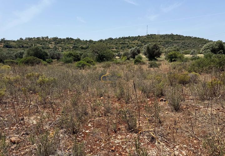 Terra a Paderne, Faro, Paderne - € 33.000 | Ref: AF179 - foto 1