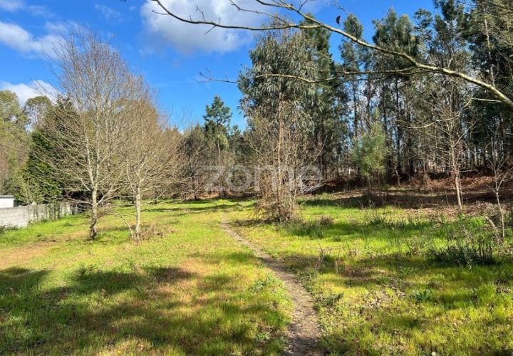 Grond in Amares, Braga, Amares - € 520.000 | Ref: ZMPT589272 - foto 1