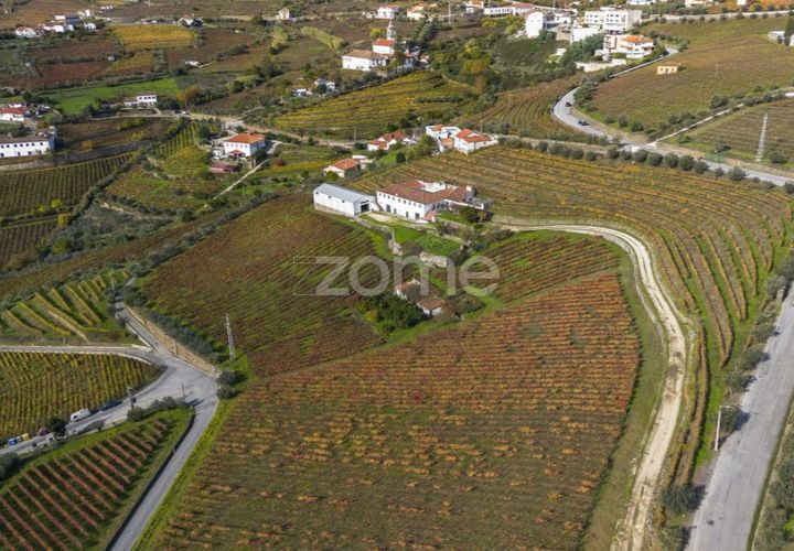 Farm i Fontelas, Vila Real, Fontelas - € 810.000 | Ref: ZMPT589278 - foto 1