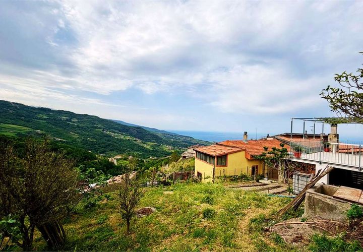 Terra a Belvedere Marittimo, Cosenza, Belvedere Marittimo - € 19.000 | Ref: 1561 - foto 1