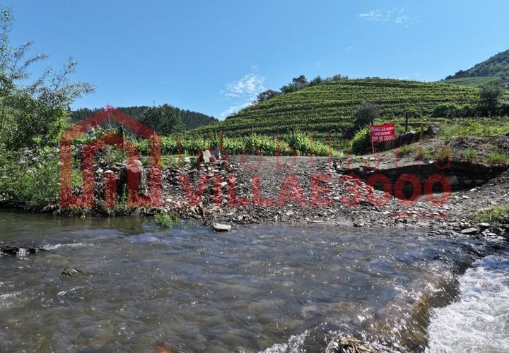 Farm i Vila Real, Vila Real, Vila Real - € 170.000 | Ref: FIN_511 - foto 1