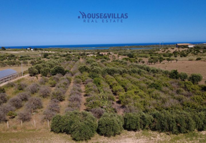 Helårsgrund i Noto, Siracusa, Noto - € 180.000 | Ref: 1302 - foto 1