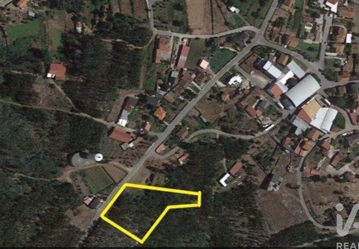 Terra a Santa Comba Dao, Viseu, Santa Comba Dao - € 19.900 | Ref: 916134 - foto 1