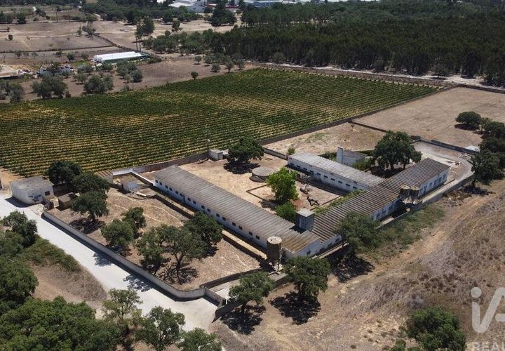 Terra a Palmela, Setubal, Palmela - € 320.000 | Ref: 911598 - foto 1