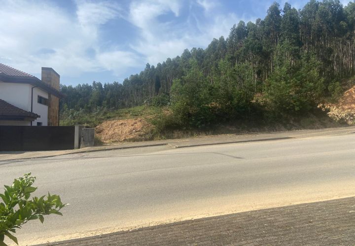 Terra a Anadia, Aveiro, Anadia - € 60.000 | Ref: 74/2026 - foto 1