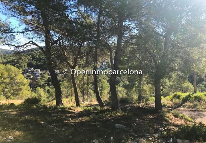 Terra a Canyelles, Barcelona, Canyelles - € 47.000 | Ref: OI01408/5763 - foto 1