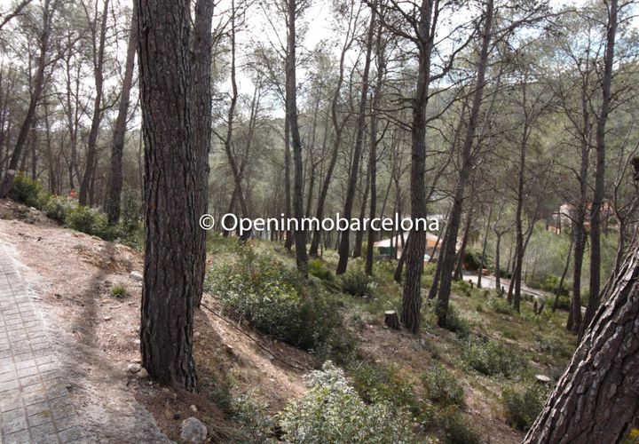 Helårsgrund i Olivella, Barcelona, Olivella - € 56.000 | Ref: OI01480/5763 - foto 1