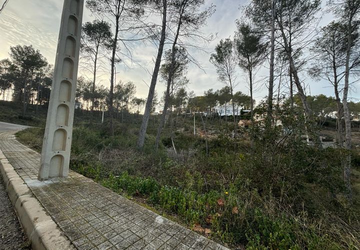 Terra a Olivella, Barcelona, Olivella - € 85.000 | Ref: OI01931/5763 - foto 1