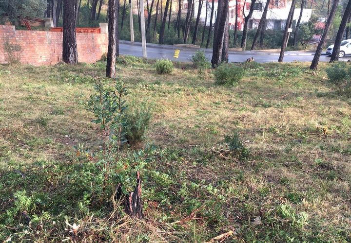 Terra a Olivella, Barcelona, Olivella - € 56.000 | Ref: OI01912/5763 - foto 1