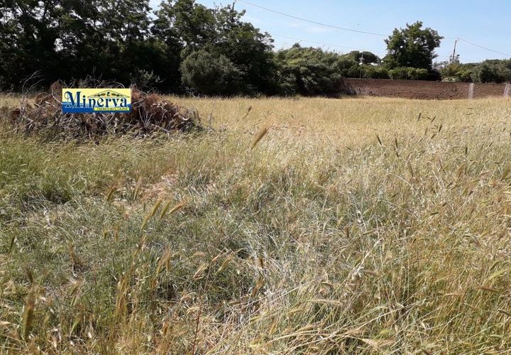 Tomt i Anzio, Rome, Anzio - € 180 000 | Ref: T. 51 - foto 1