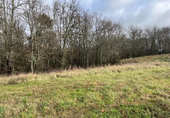 Tomt i Sadirac, Gironde, Sadirac - € 123 000 | Ref: JS-2205-Sadirac - foto 1