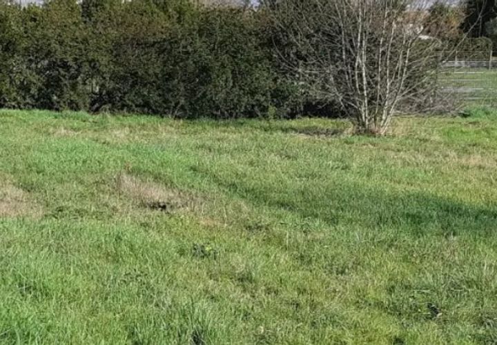 Terra a Bordeaux, Gironde, Bordeaux - € 145.000 | Ref: NP-2205-Bordeaux_Cauderan - foto 1