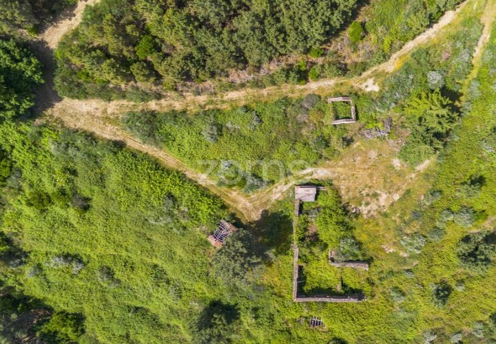 Farm i Sabrosa, Vila Real, Sabrosa - € 355.000 | Ref: ZMPT589429 - foto 1