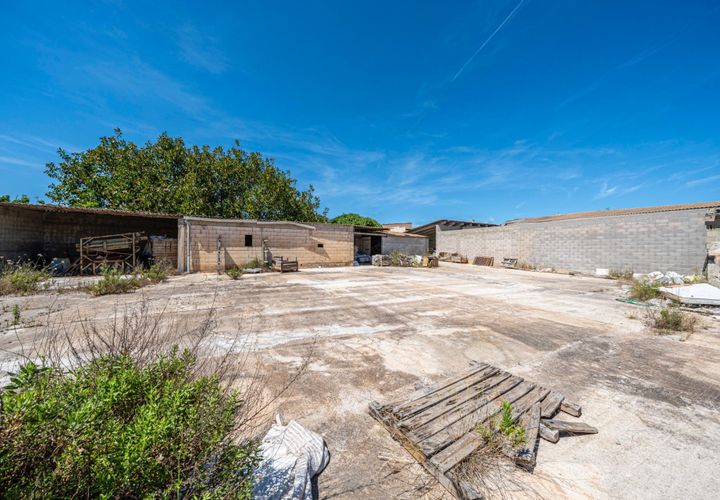 Terra a Muro, Mallorca, Muro - € 349.900 | Ref: 04DLAM008/3010 - foto 1