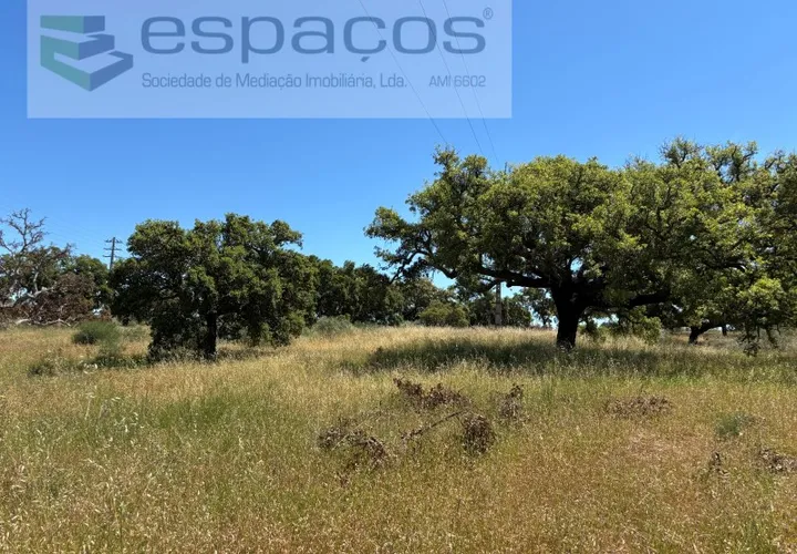 Helårsgrund i Castelo Branco, Castelo Branco, Castelo Branco - € 340.000 | Ref: 5535/AC-FA - foto 1