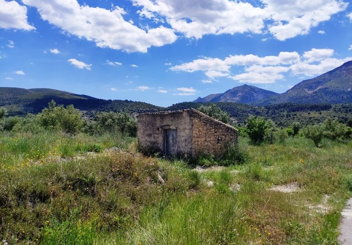 Terra a Benimassot, Alicante, Benimassot - € 43.000 | Ref: 8191 - foto 1
