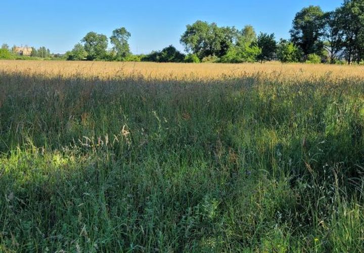 Terra a Rieumes, Haute-Garonne, Rieumes - € 267.000 | Ref: DOM32723 - foto 1