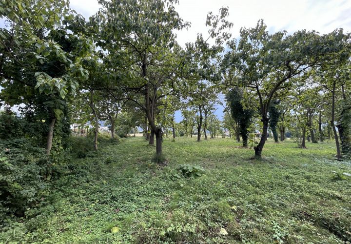 Terra a Torreglia, Padua, Torreglia - € 380.000 | Ref: TR301 - foto 1