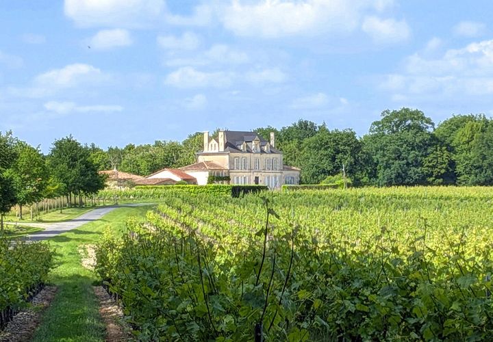 Villa a Jonzac, Charente-Maritime, Jonzac - € 995.000 | Ref: BVI85855 - foto 1