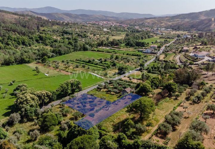 Helårsgrund i Covilha, Castelo Branco, Covilha - € 22.380 | Ref: 111260122 - foto 1