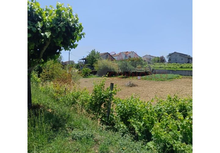 Villa i Arganil, Coimbra, Arganil - € 120.000 | Ref: BS 26/04 - foto 1