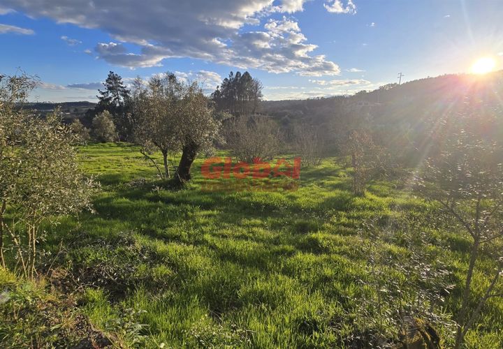 Helårsgrund i Viseu, Viseu, Viseu - € 37.500 | Ref: 189252074 - foto 1