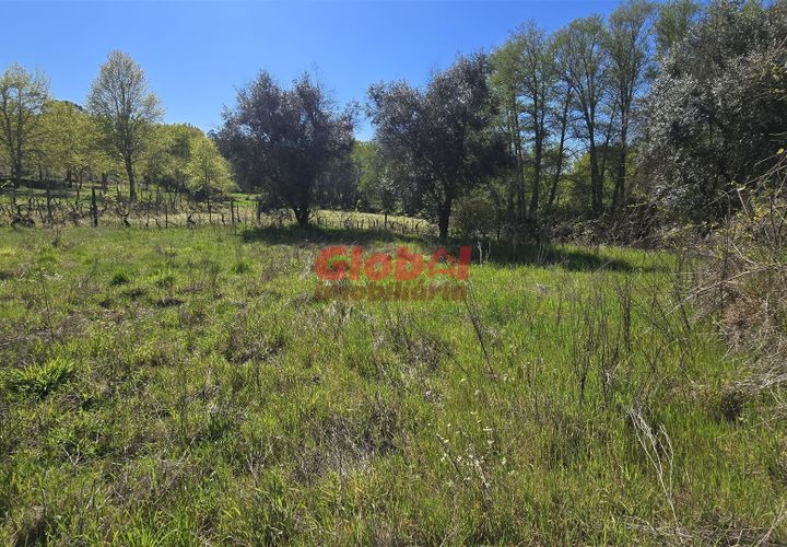 Helårsgrund i Viseu, Viseu, Viseu - € 49.500 | Ref: 189262068 - foto 1