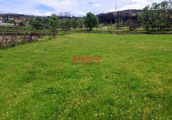 Terra a Sernancelhe, Viseu, Sernancelhe - € 16.000 | Ref: 189262095 - foto 1